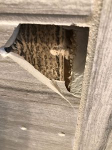 This cracked tile during installation was due to not enough thinset and a gap between the wall and the tile.